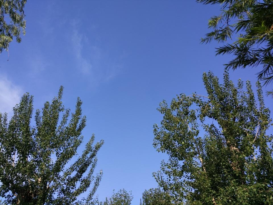 IMG_20160615_071018.jpg