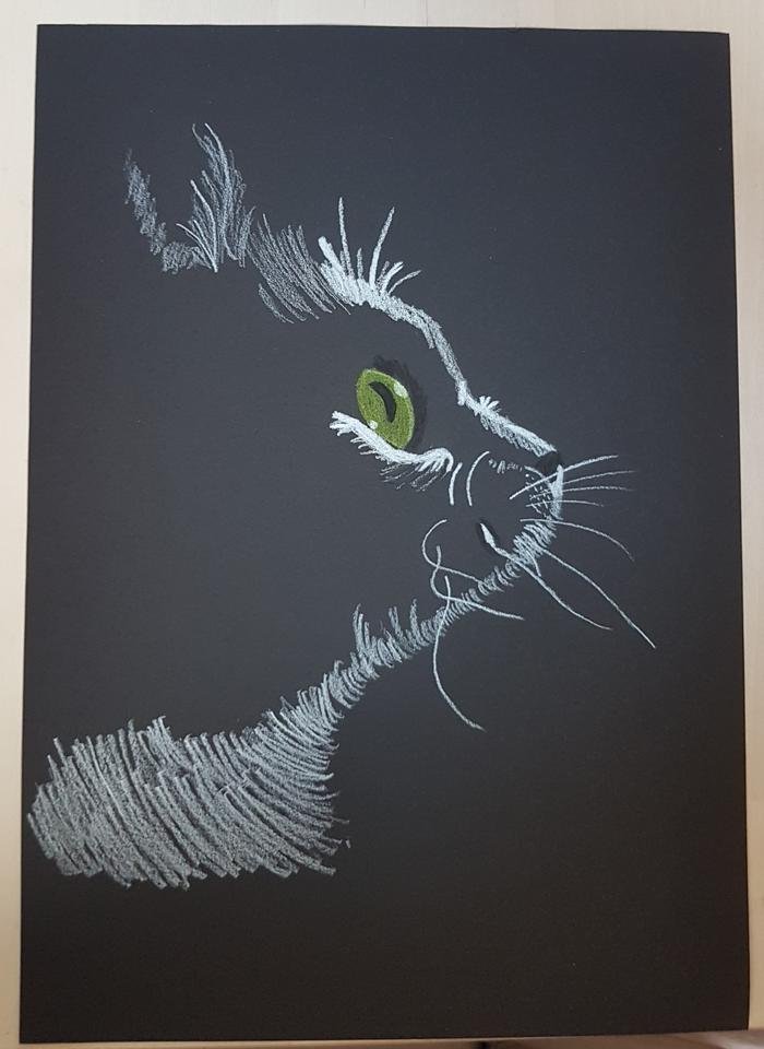 Easy Cat Drawing on Black Paper, Black and White Drawing, Black Paper  Drawing