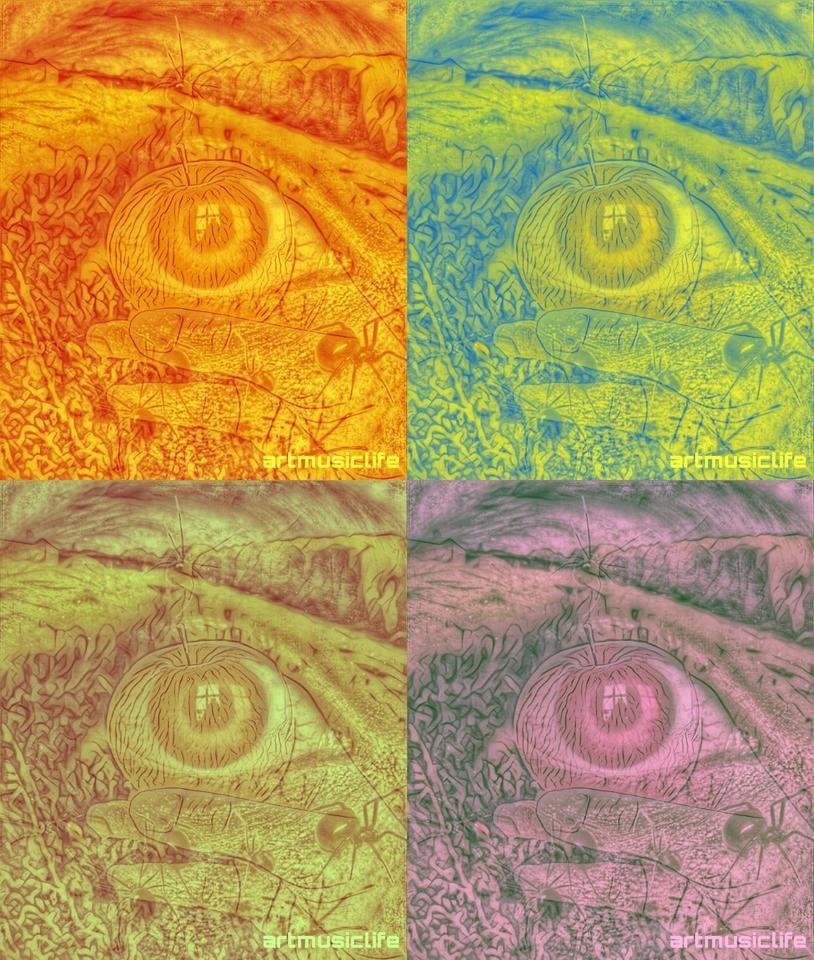 PicsArt_10-27-07.16.43.jpg