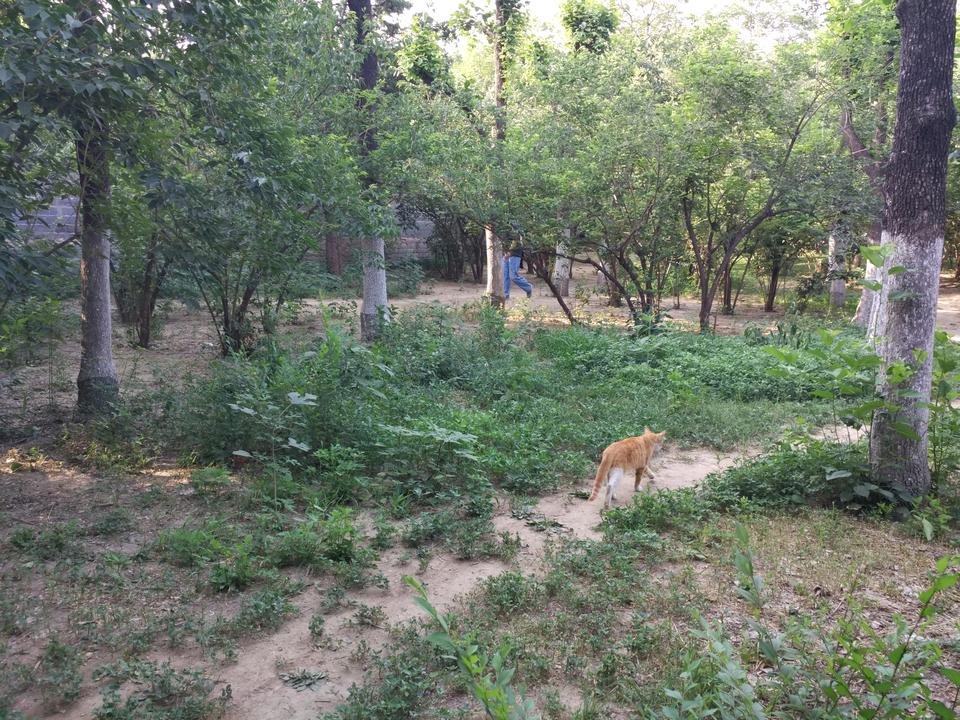 IMG_20160602_072003.jpg