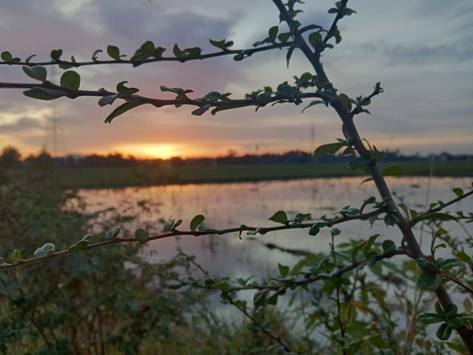 IMG-20190704-WA0016.jpg