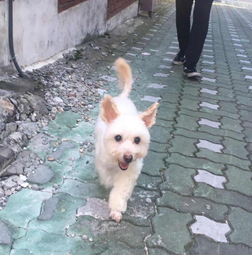 보리7.jpg