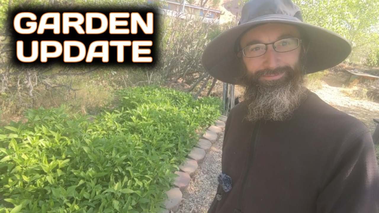 Garden Update - May 19th 2024