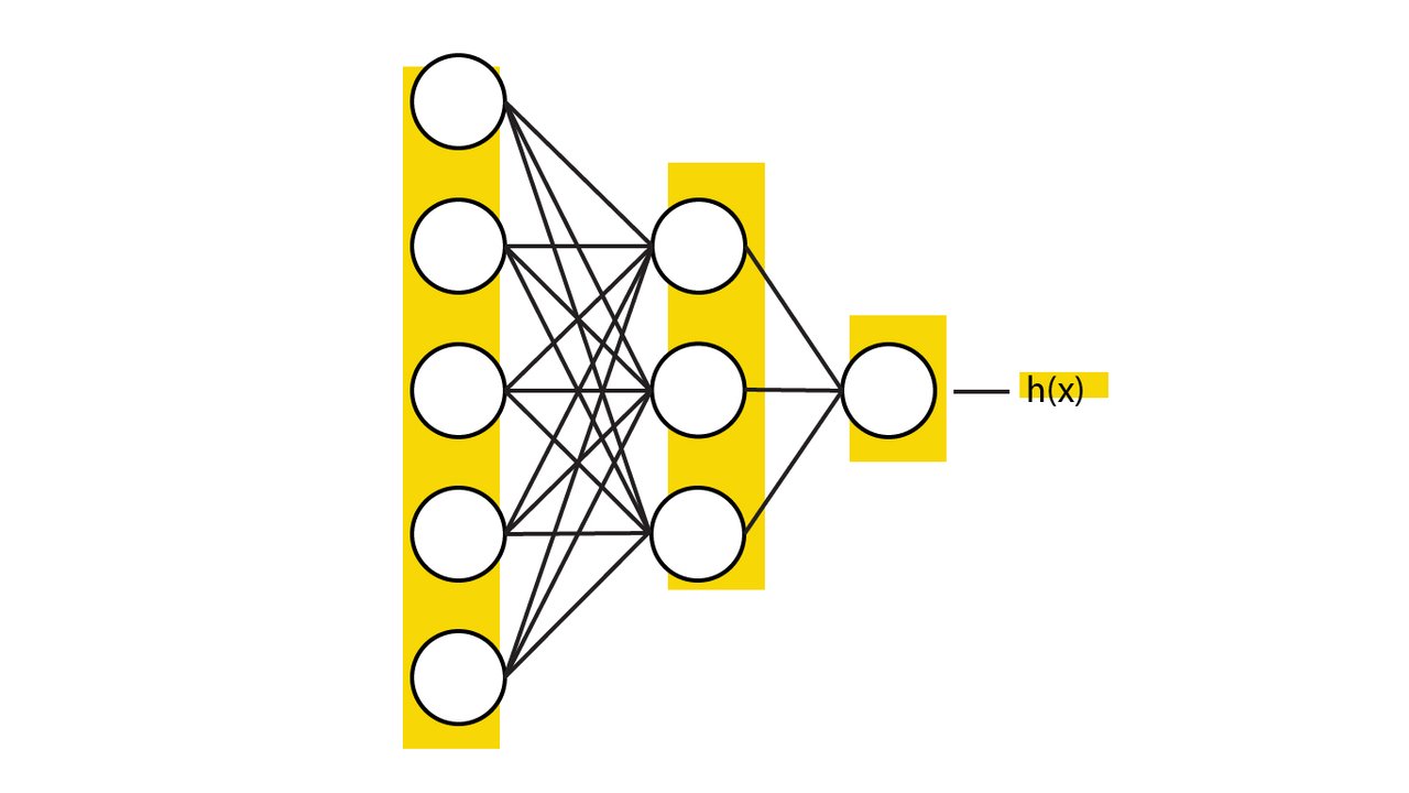 Image of multiple neurons