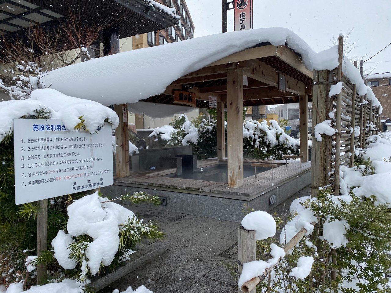 Tendo City's Ningen Shogi (Human Chess) and Sakura Festival - GaijinPot  Travel