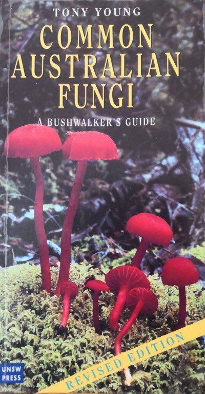 ‘Common Australian Fungi A bushwalker’s guide’ by Tony Young.