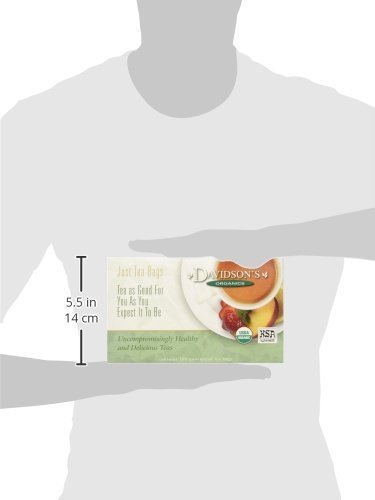 2 Davidson's Organics, Vanilla Cream Spice, 100-count Unwrapped Tea Bags