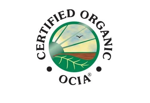 3 McCabe Organic Extra Virgin Sesame Oil - Cold Pressed Sesame Oil | Rich with Fiber & Minerals | USDA and CCOF Certified | Packed in USA | 12 fl oz