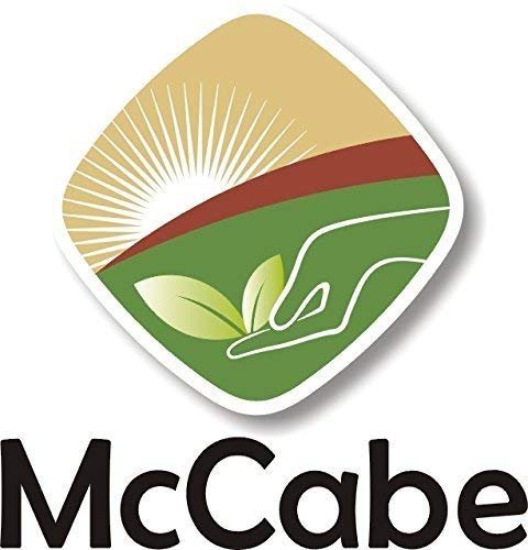 3 McCabe Organic Whole Oats Groats - Whole Grain Oats 2Lbs | Organic Raw Oats Groats | USDA and CCOF Certified | Product of USA