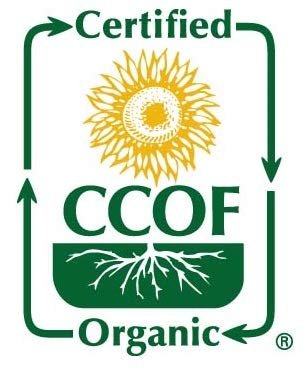 3 McCabe Organic Black Rice - Gluten Free Black Rice - Rich in Fiber & Minerals | USDA and CCOF Certified | Packed in USA | 12 lbs
