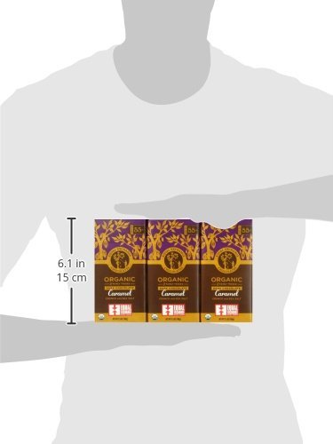 4 Equal Exchange Organic Chocolate Caramel Crunch with Sea Salt, 2.8-Ounce (Pack of 6)