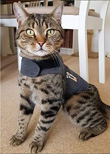 4 Thundershirt Classic Cat Anxiety Jacket, Heather Gray, Medium (9 to 13 lbs), THU-009