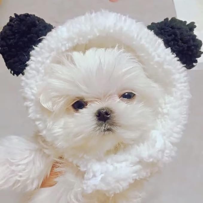 4 JOICEE Cute Cat Costume Warm Bear Hat for Cat Adjustable Soft Small Pet Headwear Bear Hat for Cat Puppy Dog (Black&White)