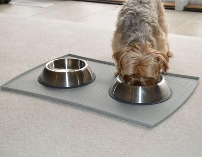 4 PetFusion Premium Brushed Anti-Tip Dog & Cat Bowls (Set of 2 Bowls). Food Grade Stainless Steel. Bonded Silicone Ring for Traction, 14 oz, Metallic