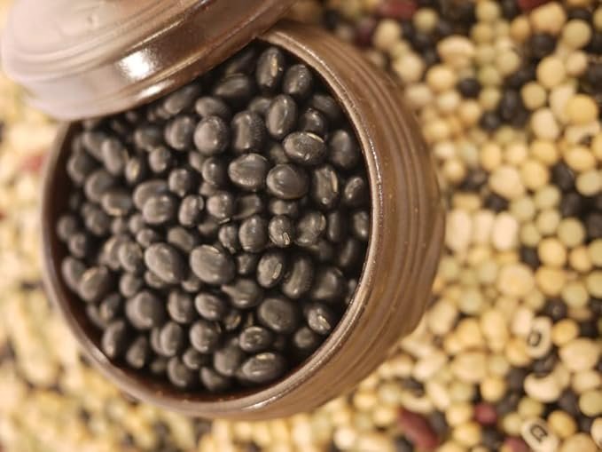 3 McCabe Organic Black Bean with Green Kernels - Dried Black Beans 2 Lbs (32oz) | USDA and CCOF Certified - Packed in USA