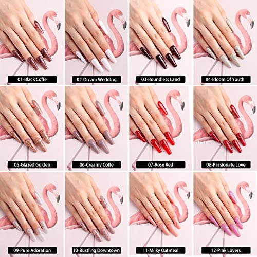 3 REDNEE Dip Powder 12 Colors Nail Starter Kit with Base Activator and Top Coat 22pcs Gift Set for Nail Art - RE08 Inviting Color