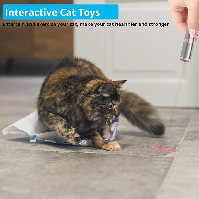 1 Cat Laser Toy, 2 Pieces USB Rechargeable Laser Pointer, Long Range 5 Modes Laser, Interactive Kitten Toy for Indoor Cat and Dog