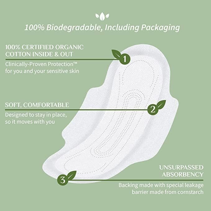 3 Organyc 100% Certified Organic Cotton Feminine Pads, Moderate Flow, 10 count (Pack of 1) - Package May Vary