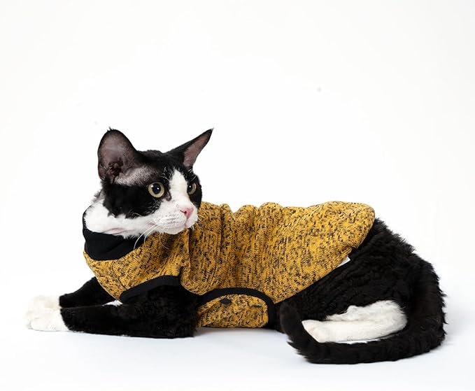 2 SNIXFever Sphynx Cat Coat, Easy to Wear Jacket with Buckle,Warm Fleece Coat for cat, Cat Fleece Jacket,Deep Yellow Jacket for Cat and Small Dogs (Small)
