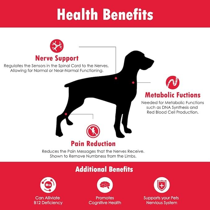 2 CobalaVet Vitamin B12 & B9 for Small Dogs & Cats - Supports The Nervous System, Brain Function, Immune Defenses & Cell Growth - Blood Cell Formation - Metabolic Pathway - 60 Soft Chews