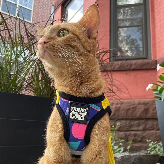 1 Travel Cat & Stray Cat Harness and Leash Set - Adjustable Fit Mesh Cat Harness and Reflective Strap - Comfort Escape Proof Harness for Cats, Kitten for Outdoor Walking, Hiking (Small, 90s Cat)