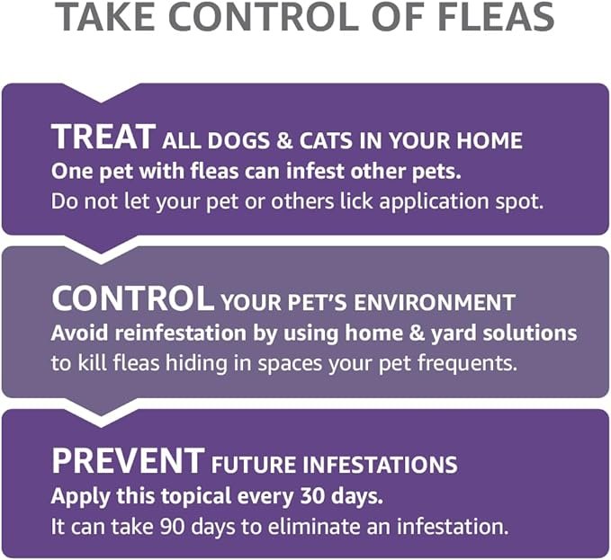 4 Amazon Brand - Solimo Flea Topical for Large Cats (over 9 pounds), 4 Count