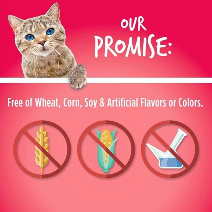 3 Fruitables Cat Crunchy Treats For Cats – Healthy Low Calorie Packed with Protein – Free of Wheat, Corn and Soy – Made with Real Salmon with Cranberry – 2.5 Ounces