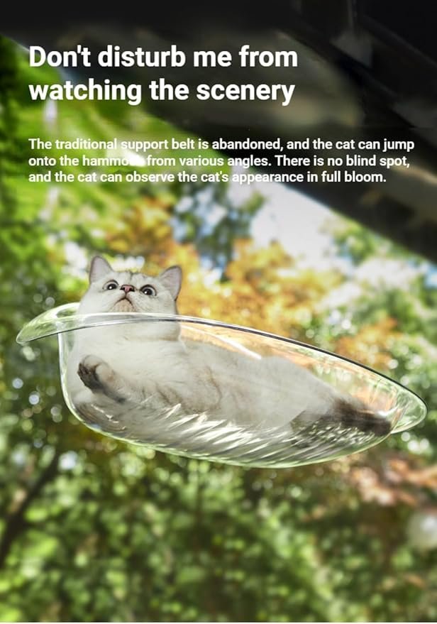 5 SSDHUA Cat Hammock Transparent Window Open Cat Nest Easy to Install Suction Cup Suspended Cat Climbing Frame Four Seasons Indoor Sunbathing Cat Bed Pet Supplies (Transparent)