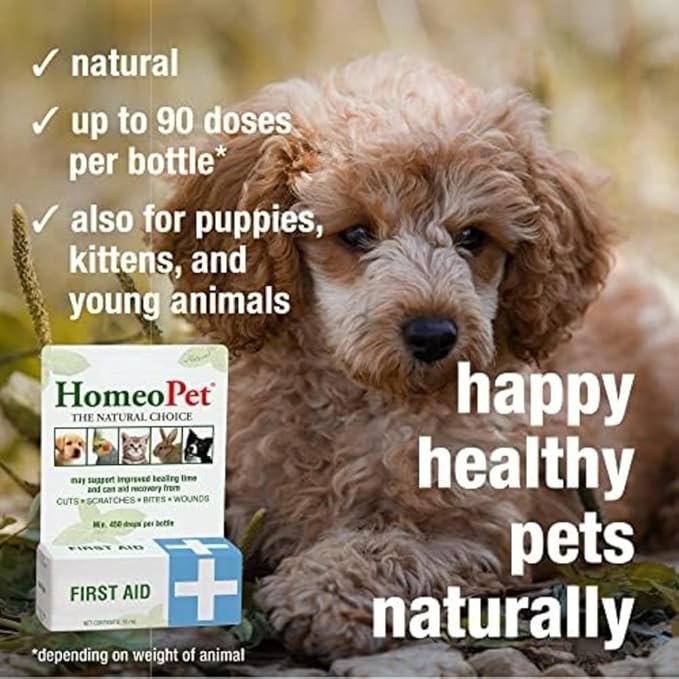 2 HomeoPet First Aid, Oral Wound Care for Dogs, Cats, and Other Pets, 15 Milliliters