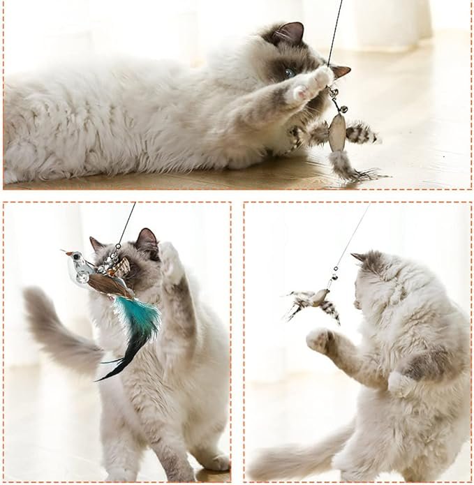4 Cat Feather Toys Automatic Interactive Cat Toys Natural Bird Feather Ball Toys Suction Cup Pet Chase Movement Playing Toy Exercise cat Toys 7 Pcs Cat Toy Set for Indoor Bored Cats Gifts