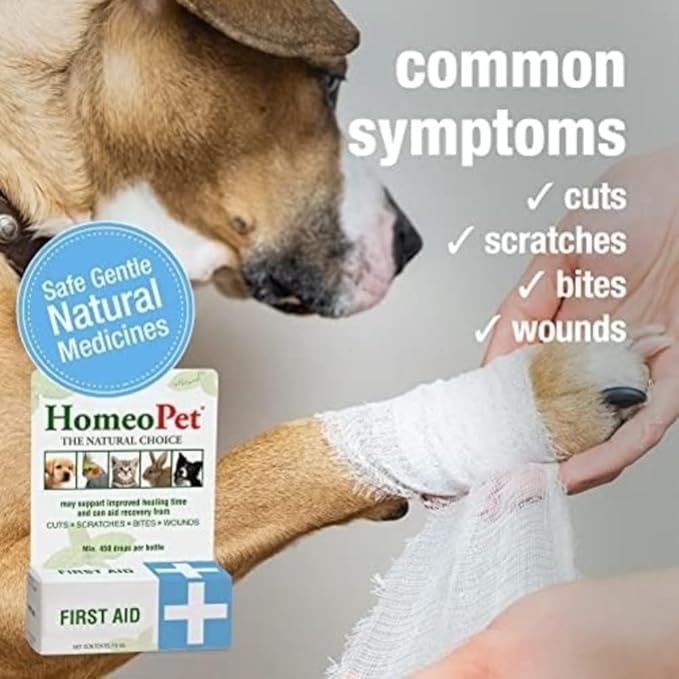 1 HomeoPet First Aid, Oral Wound Care for Dogs, Cats, and Other Pets, 15 Milliliters