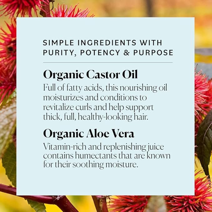 3 Sky Organics Curl Care Bio-Based Wash Day Shampoo for Hair USDA Certified Bio-Based to Cleanse, Hydrate & Enhance Curls, 12 fl. Oz