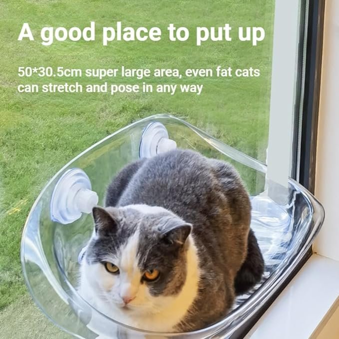 1 SSDHUA Cat Hammock Transparent Window Open Cat Nest Easy to Install Suction Cup Suspended Cat Climbing Frame Four Seasons Indoor Sunbathing Cat Bed Pet Supplies (Transparent)