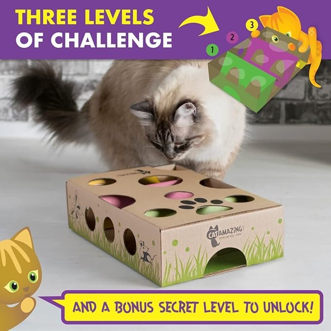 1 Classic – Cat Puzzle Feeder – Interactive Enrichment Toy – Treat Puzzle Box – Food Maze for Indoor Cats