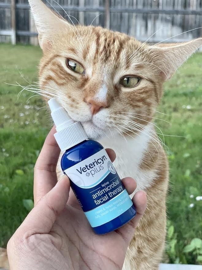 1 Vetericyn Plus Feline Facial Therapy | Healing Aid and Skin Repair for Different Cat First Aid Needs, Including Cat Acne, Cat Ear and Eye Problems. 2 ounces