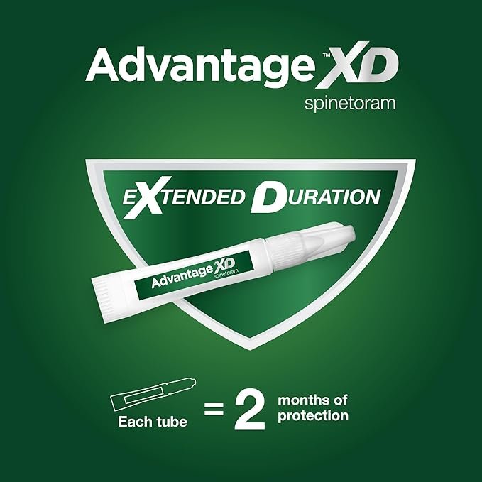 1 Advantage XD Small Cat Flea Prevention & Treatment For Cats 1.8-9lbs. | 2-Topical Doses, 2-Months of Protection Per Dose