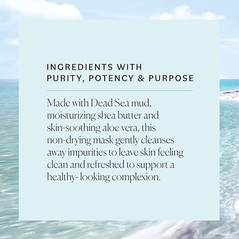 3 Sky Organics Mud Mask MUD8 PK-A85N-A48H Parent