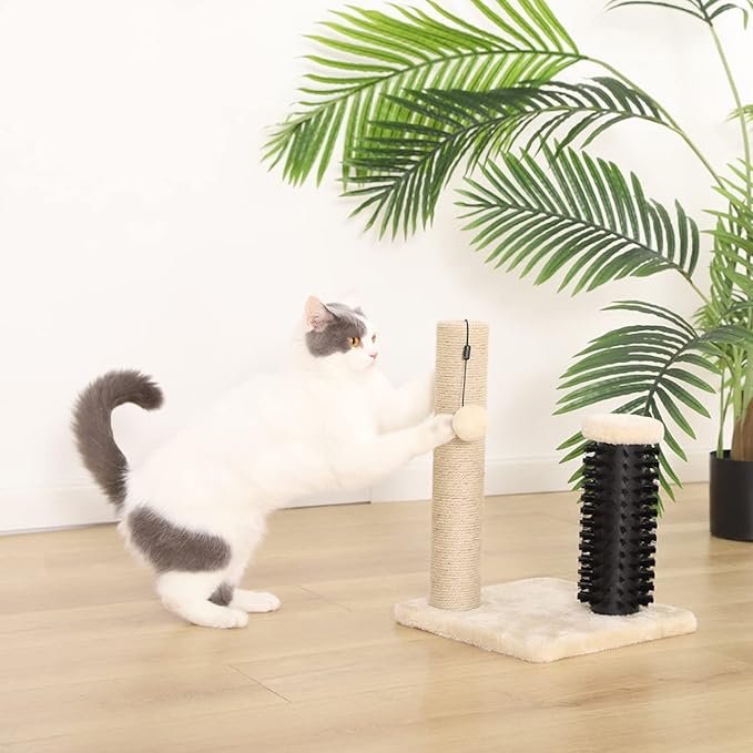 3 Amazon Basics Cat Scratching Post with Brush, 12.2 x 12.2 x 16.54 inch for Kitten, Beige