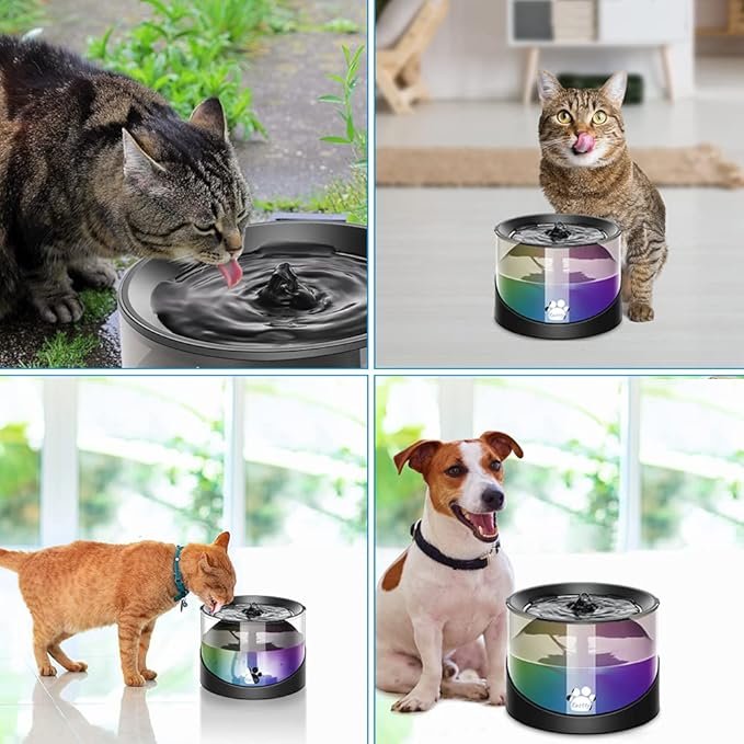 4 Kastty Super Quiet Water Fountain for Cats Inside, Pet Water Fountain for Kitty, Cat Waterer, Dog Bowl Dispenser 2.2L/74oz,with Super Long Life Span Pump, Black+Colorful LED Light