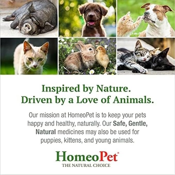 4 HomeoPet First Aid, Oral Wound Care for Dogs, Cats, and Other Pets, 15 Milliliters