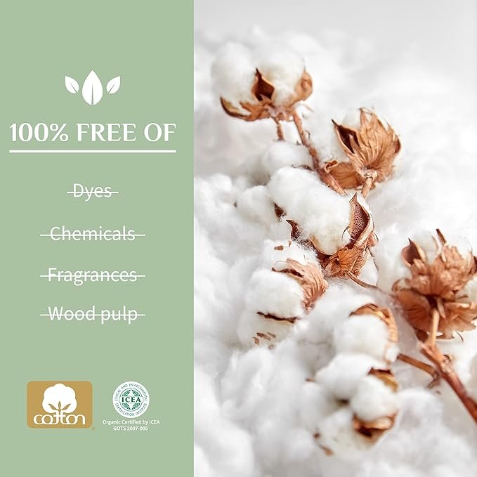 2 Organyc 100% Certified Organic Cotton Tampons, Bio-Based Eco-Applicator, 16 Count (Pack of 1)
