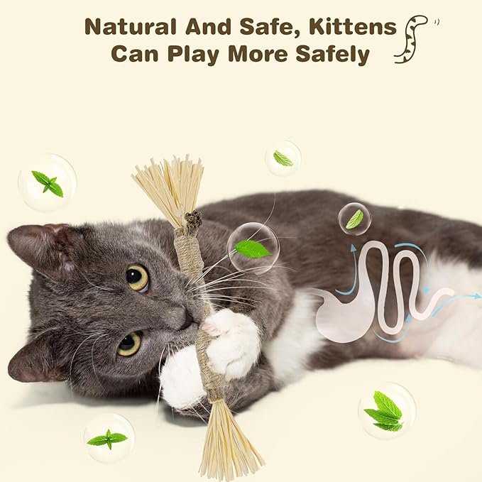 1 4 Pack Silvervine Sticks for Cats - Cat Chew Toy for Dental Care, Edible Matatabi Cat Chew Sticks for Teeth Cleaning, Kitty Toys for Indoor Cats (4 Sticks)