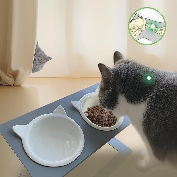 2 Pandaq Adjustable Cat Feeder,Elevated Cat Ceramic Bowls 15° Tilted Raised Cat Food Bowls with 2 Thickened Ceramic Bowls 300ML & A Sturdy Iron Stand for Cats
