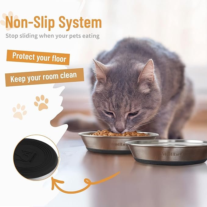 2 Wellbro Cat Bowls, 2 Pcs Stainless Steel Cat Bowls for Food and Water, Whisker Fatigue Shallow Non-Slip Cat Dishes Plates for Small Dog Puppies Cats