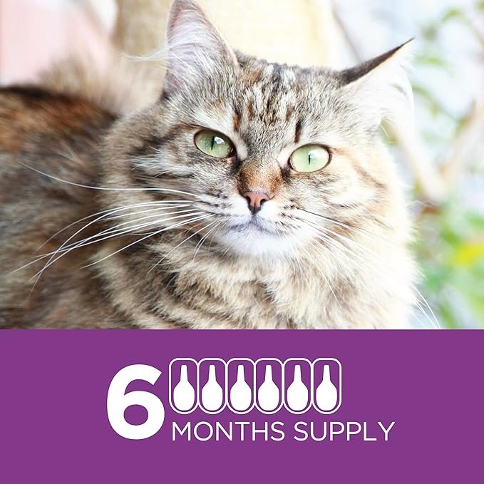 2 TevraPet Actispot II Flea Treatment for Small and Medium Cats 5-9 lbs | 6 Doses | Powerful Prevention and Control, Clear
