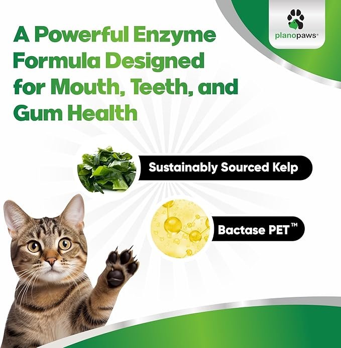 3 Cat Dental Care Powder - Easier Than Cat Toothpaste - Cat Dental Treat Alternative to Get Plaque Off - Cat Teeth Cleaning Powder with Bactase PET - Cat Breath Freshener for Cat Bad Breath - Oral Care