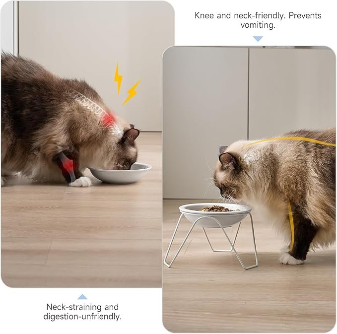 3 CEEFU 2-Pack Ceramic Raised Cat Bowls for Food and Water, Elevated Pet Dishes Bowls with Stand, Cats and Small Dogs, Dishwasher Safe