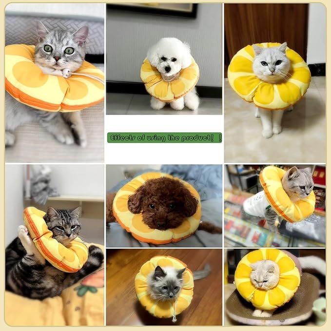 4 Cat Recovery Soft Collar.Waterproof Soft Recovery Cone Collar. Anti-bite and Anti-Lick Wound Healing Safe Adjustable Elizabethan Collar.(S)