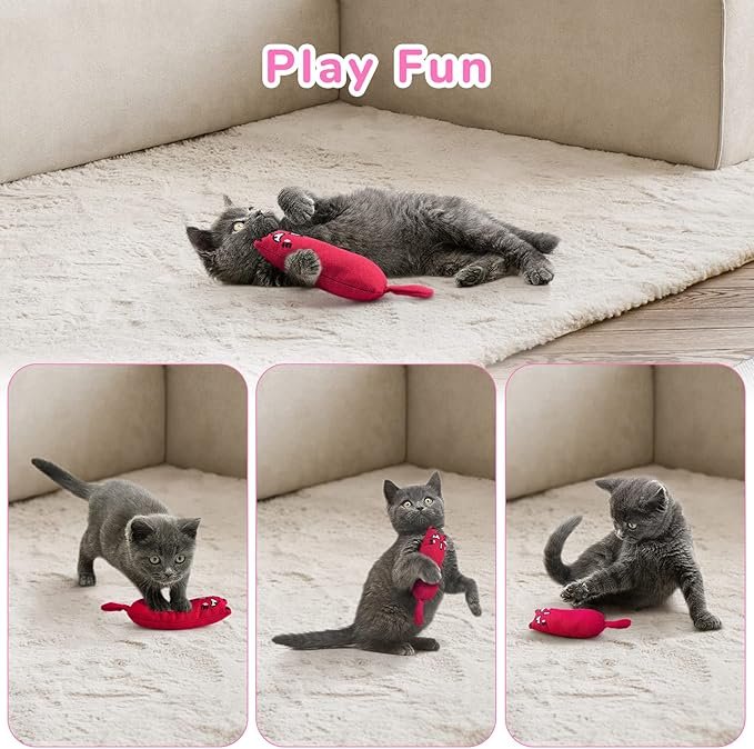 3 5Pcs Bite Resistant Catnip Toy for Cats,Catnip Filled Cartoon Mice Cat Teething Chew Toy