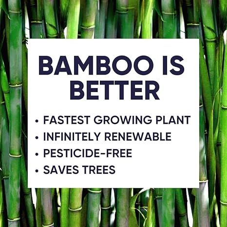 4 EcoCloud Bamboo Bathroom Tissue - 24 Rolls of Sustainable Toilet Paper, 3-ply, 300 sheets per roll - Gentle and resilient, FSC-certified, Chlorine-Free, Free of Plastic, Suitable for Vegans